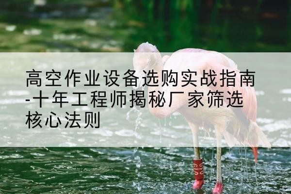 望城剪叉式升降机厂家-高空作业设备选购实战指南-十年工程师揭秘厂家筛选核心法则