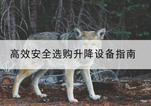 望城升降货梯厂家推荐-*安全选购升降设备指南