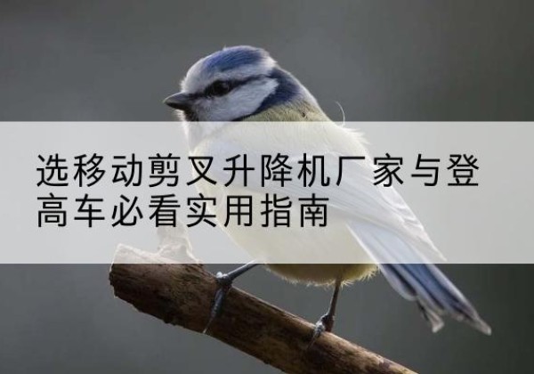 望城电动升降机厂家-选移动剪叉升降机厂家与登高车必看实用指南