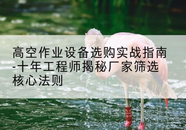 望城剪叉式升降机厂家-高空作业设备选购实战指南-十年工程师揭秘厂家筛选核心法则